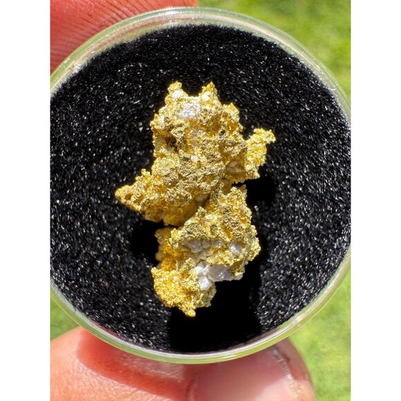 California Native Gold Crystal - 1.86 grams - Picture 3 of 7